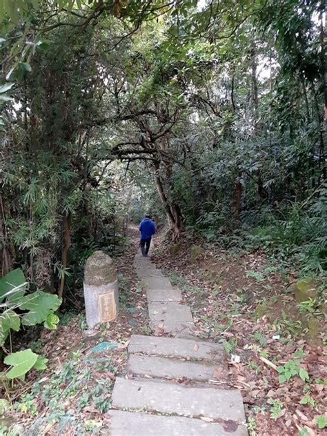 大山背鬧鬼|新竹大山背山，大崎棟古道，茶亭古道